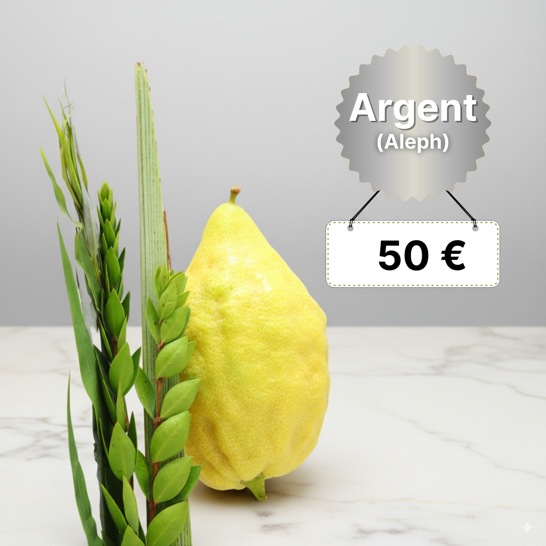 Kit Loulav Argent - Aleph