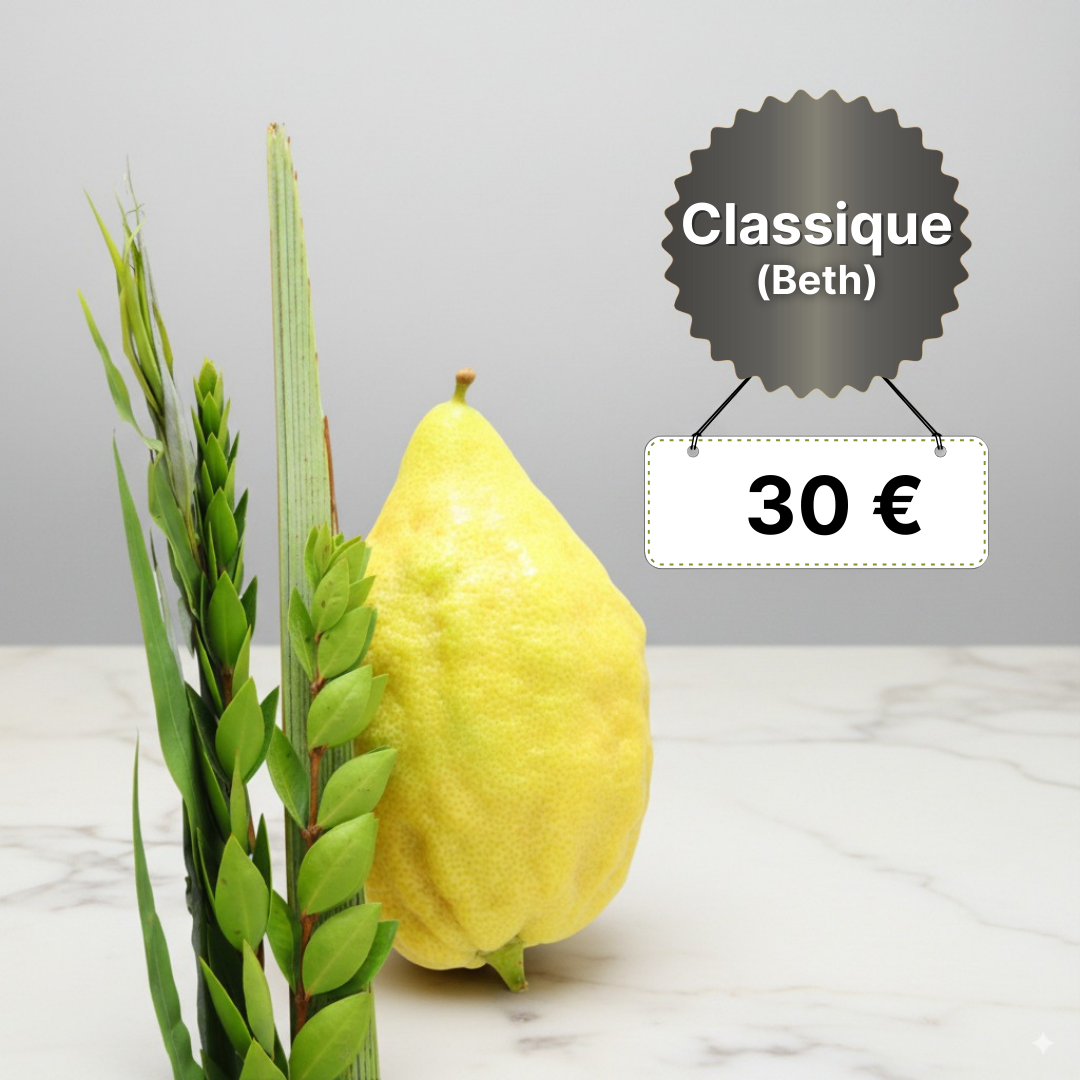 Kit Loulav Classique - Beth